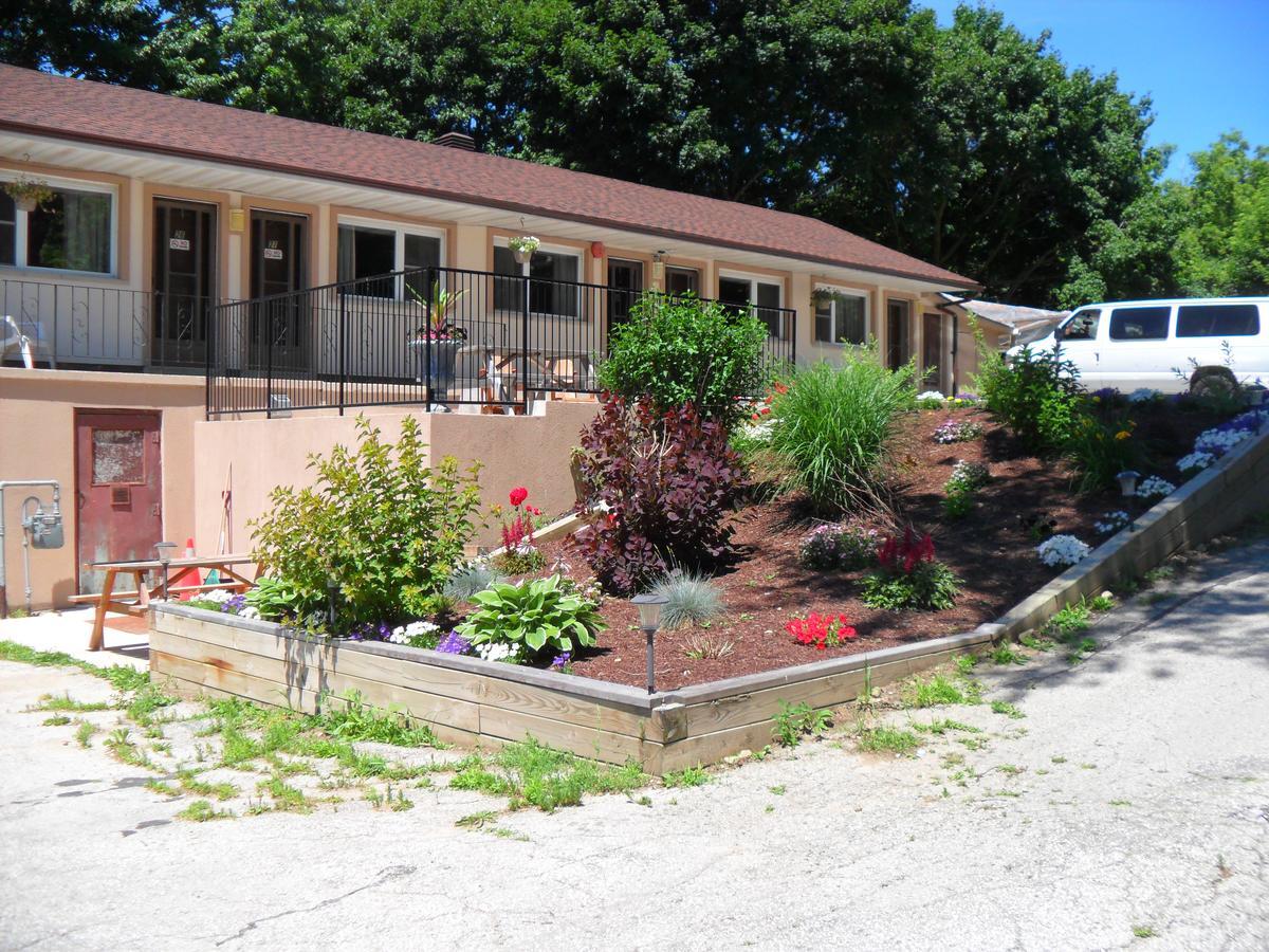 Forest Plaza Motel Mount Forest Extérieur photo